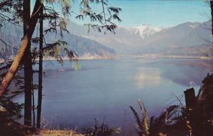 Canada Vancouver The Lions From Cleveland Dam