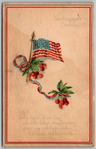 Washington's Birthday 1930s Patriotic Gibson Postcard Flag Cherries Poem