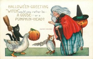 Halloween, Witch, Goose with Pumpkin Head, Black Cat Holding Broom, Owl