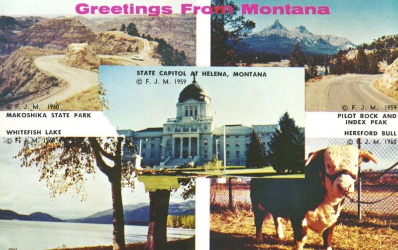 Greetings From Montana MT Multi-view Whitefish Lake Makoshika Park Postcard E12