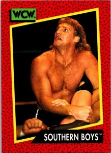 1991 WCW Wrestling Card Southern Boys Steve Armstrong Tracy Smothers sk21224