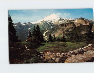 Postcard Mount Baker Washington USA