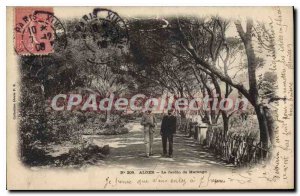 Postcard Old ALGIERS garden Marengo