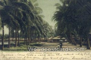 Palm Ave Cristobal Panama 1905 