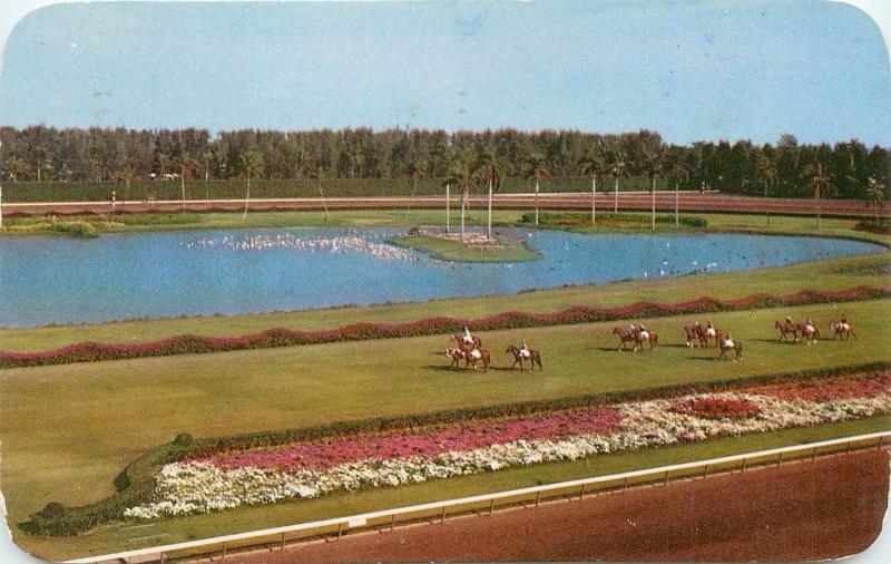 Hialeah Race Course Horse Track Miami Florida FL pm 1954 parading post Postcard