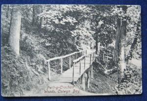 Pwllycrochan Woods Colwyn Bay 1905 Posted 