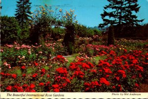 Oregon Portland Washington Park International Rose Test Gardens 1973