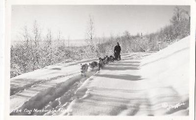 RPPC ALASKA Dog Mushing Winter Postcard