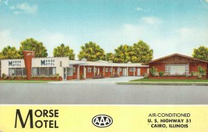 CAIRO Illinois IL    MORSE MOTEL  Roadside  ca1950s Vintage Chrome Postcard