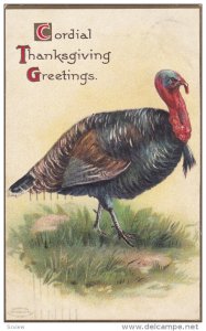 THANKSGIVING, PU-1908; Cordial Thanksgiving Greetings Turkey