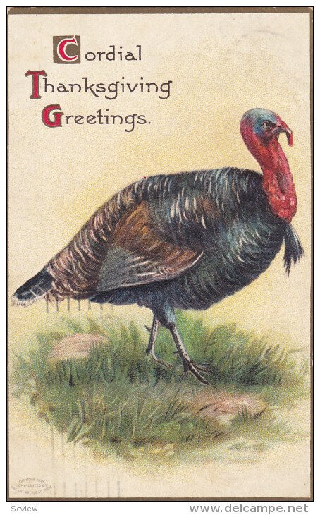 THANKSGIVING, PU-1908; Cordial Thanksgiving Greetings Turkey