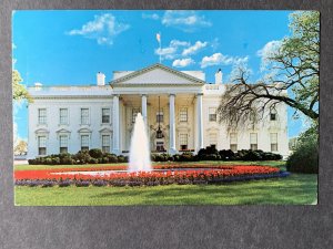 The White House Washington DC Chrome Postcard H1253081923