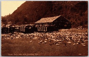 Squab Farm Near Los Angeles California CA Bird Species Mountain in Back Postcard