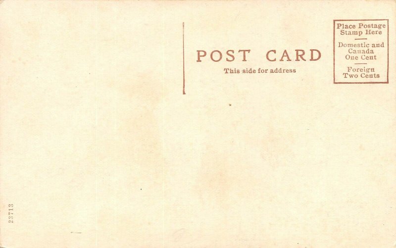 LP88 Chelsea  Michigan Postcard Cavanaugh Lake