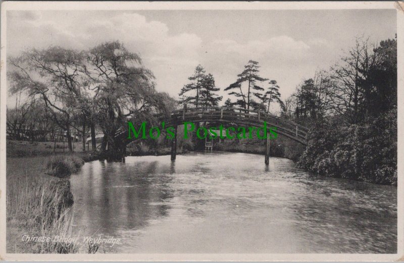 Surrey Postcard - Chinese Bridge, Weybridge, Elmbridge   RS36493