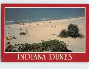 Postcard Indiana Dunes, Indiana Dunes State Park, Chesterton, Indiana