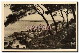 Old Postcard Antibes Pinede