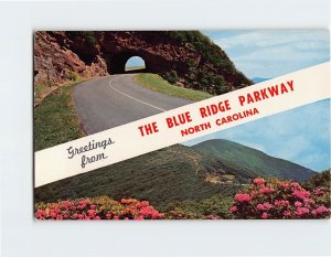 Postcard Greetings from The Blue Ridge Parkway, North Carolina