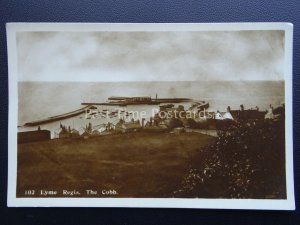 Dorset LYME REGIS Langmoor Gardens & Harbour THE COB Old RP Postcard