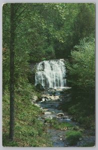 National & State Parks~Meigs Creek Falls~Great Smoky Mts Nat Park~Vintage PC