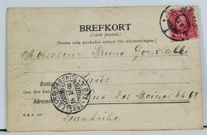 Sweden Malmo Fridhemsvagen c1903 Hand Colored Postcard I7