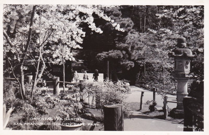 California San Francisco Golden Gate Park The Oriental Tea Garden Real Photo