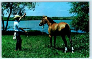 FORT WORTH, Lake Benbrook TX ~ Cowboy & Quarter Horse BEGGAR POO   Postcard