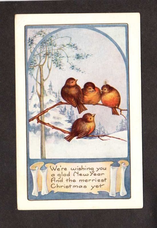 Christmas Glad New Year Christmas Greetings Birds Snow Scroll Postcard