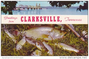 Tennessee Greetings From Clarksville With Kentucky Lake Game Fish and Bridge