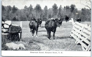 Postcard - Homeward Bound, Hampton Beach - Hampton, New Hampshire