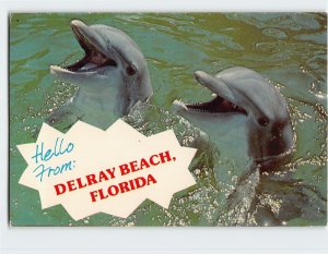 Postcard Smiling Florida Porpoise - Hello From: Delray Beach, Florida