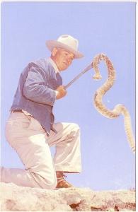 Okeene OK Rattlesnake Roundup Jaycee Event Rancher Vintage Postcard