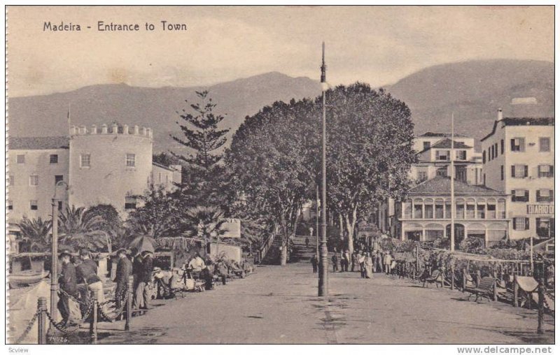 Entrance To Town, Madeira, Portugal, 1900-1910s