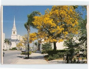 Postcard Tree Of Gold, Sarasota, Florida