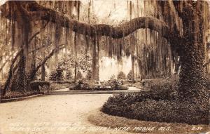 D45/ Mobile Alabama AL Real Photo RPPC Postcard 1939 Bellingrath Gardens 2