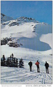 Canada Whistler Mountain Garibaldi Provincial Park British Columbia