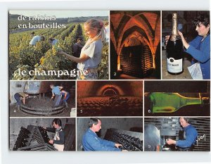 Postcard de raisins, en bouteilles, le champagne, France