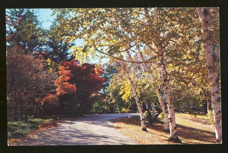 Greetings From Sudbury, Massachusetts/MA Postcard, Winding Road