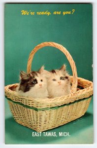 Kittens Cats In Basket Postcard Chrome 1965 Greeting From East Tawas Michigan