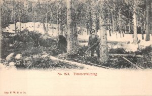 TIMMERFALLNING DUTCH NETHERLANDS TIMBER FALLING LOGGING POSTCARD (c. 1900)