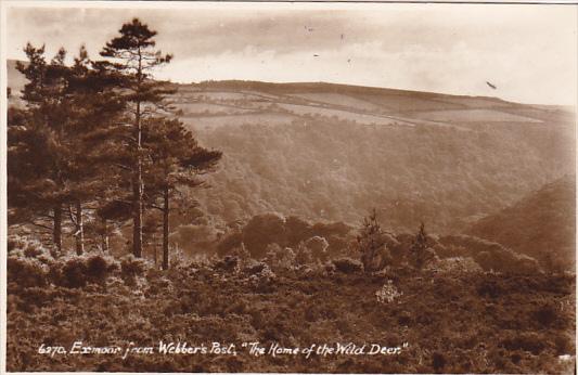 England Exmoor From Webber's Post Photo