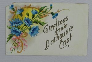 Greetings from Dalhousie East Blue Star Shaped Flowers - Vintage Postcard