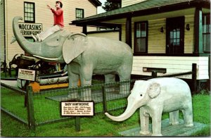 Postcard Famous Elephants The Original Perry's Nut House in Belfast, Maine