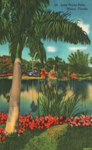 Vintage Postcard 1951 Lone Royal Palm Scenic Beauty Miami Florida Novelti-Craft