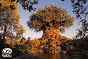 Nurturing And Sheltering Tree Of Life, At Disney Animal Kingdom 