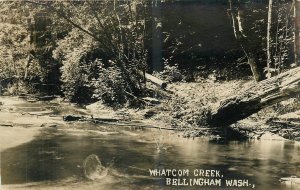 Bellingham Washington c1910 Whatcom Creek RPPC Postcard 25-11232