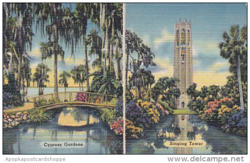 Florida Silver Springs Cypress Gardens Singing Tower