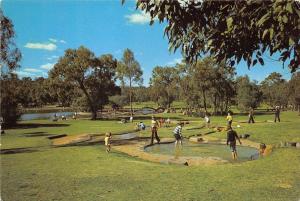 B89998 kings park arthur fairall   australia