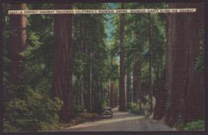 California Redwoods