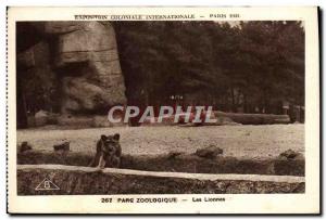 Old Postcard Paris 1931 International Colonial Exposition Zoo slion The lioness